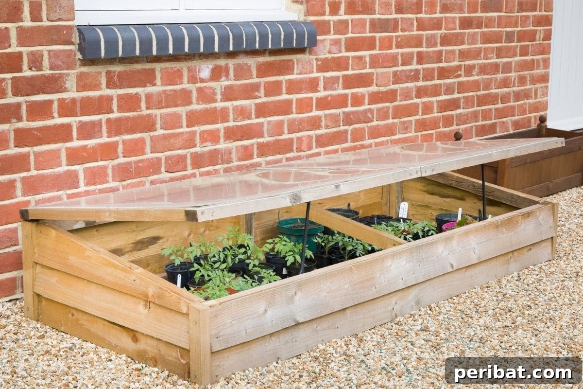 Fortify Your Young Plants: 15 Master Gardener Hardening Off Strategies 11 plants in side a cold frame beside a brick wall