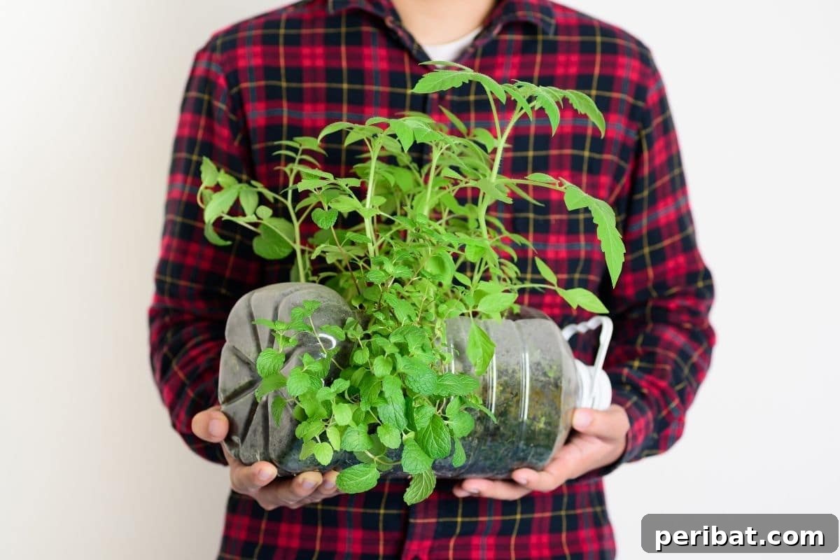 Fortify Your Young Plants: 15 Master Gardener Hardening Off Strategies 17 holding plants in a plastic pot ready for hardening