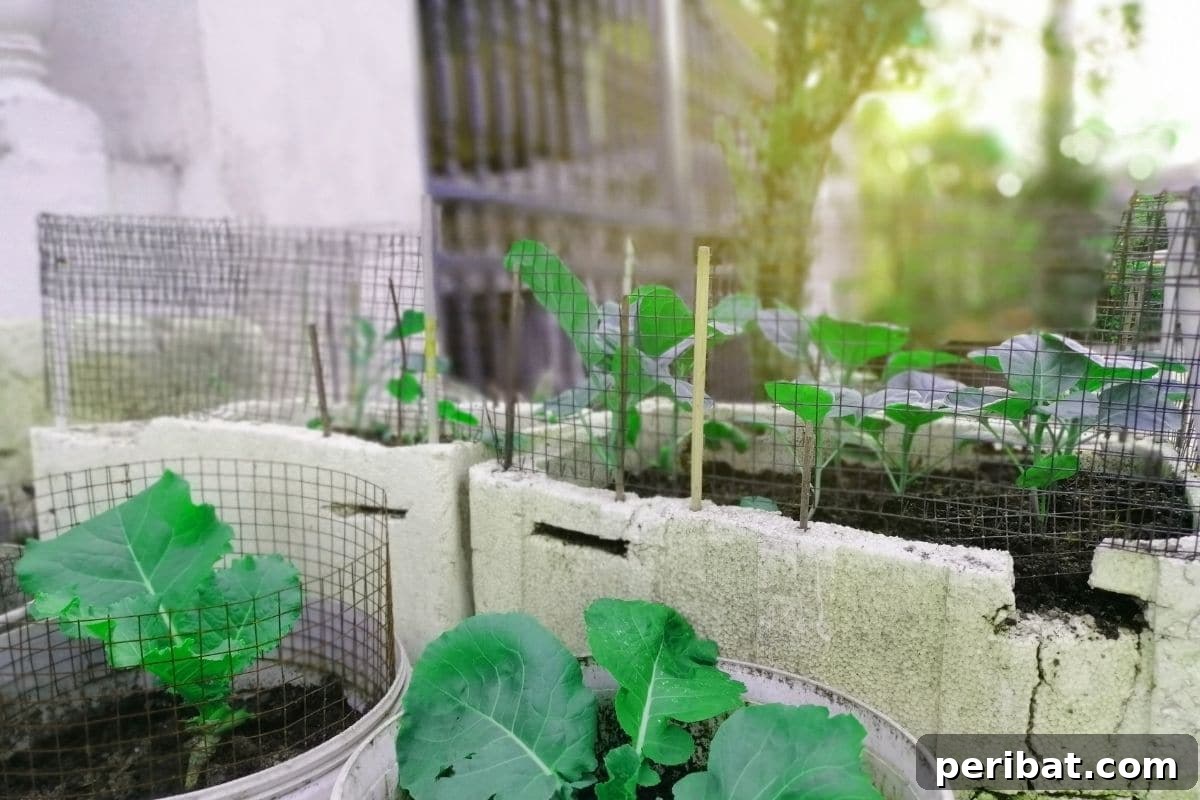 Fortify Your Young Plants: 15 Master Gardener Hardening Off Strategies 6 vegetable garden beside the house