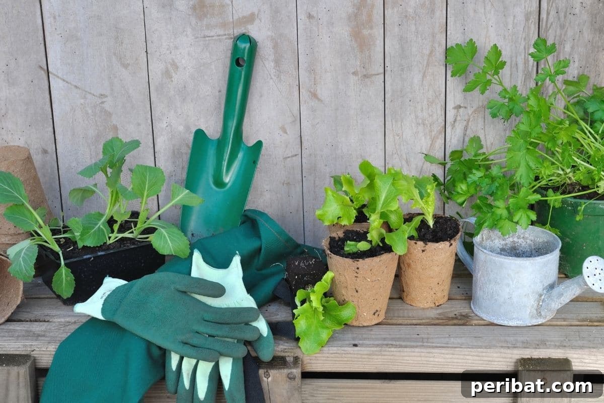 Fortify Your Young Plants: 15 Master Gardener Hardening Off Strategies 7 vegetable plant in a pot with gardening materials