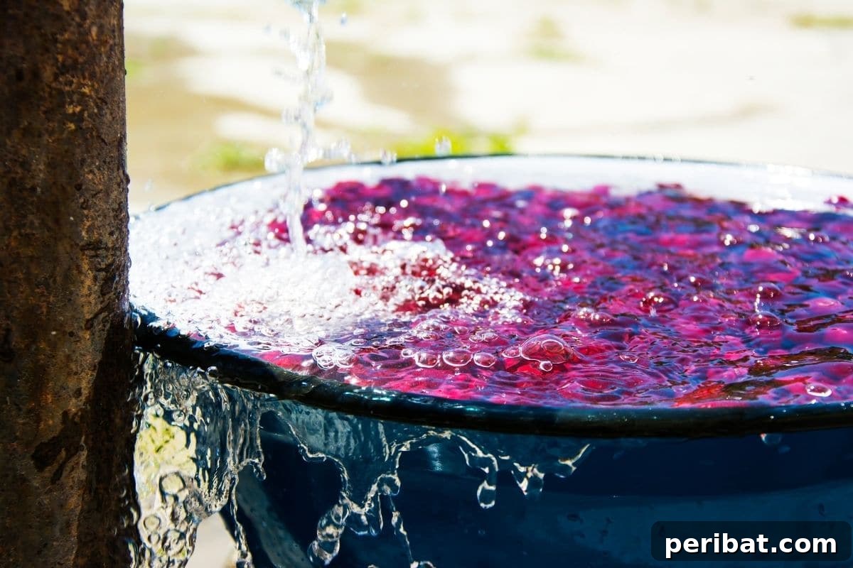 5 Easy Steps to Build a Rain Barrel for Your Garden 4 overflowing water barrel with berries