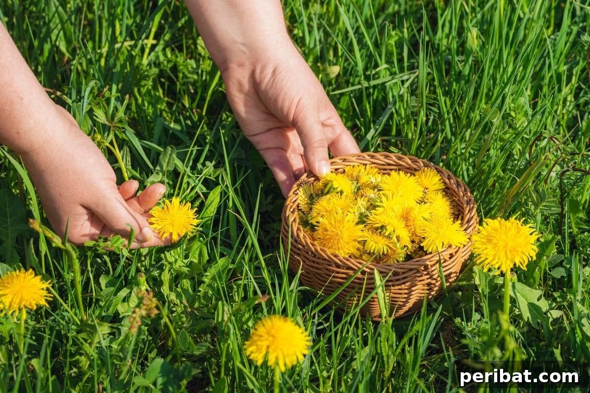 Harvest Beauty Year After Year: 8 Sunny Perennials for Your Dream Cutting Garden 15 A hand gently holding a bouquet of freshly cut flowers, positioned amongst lush green grass, signifying a successful harvest.