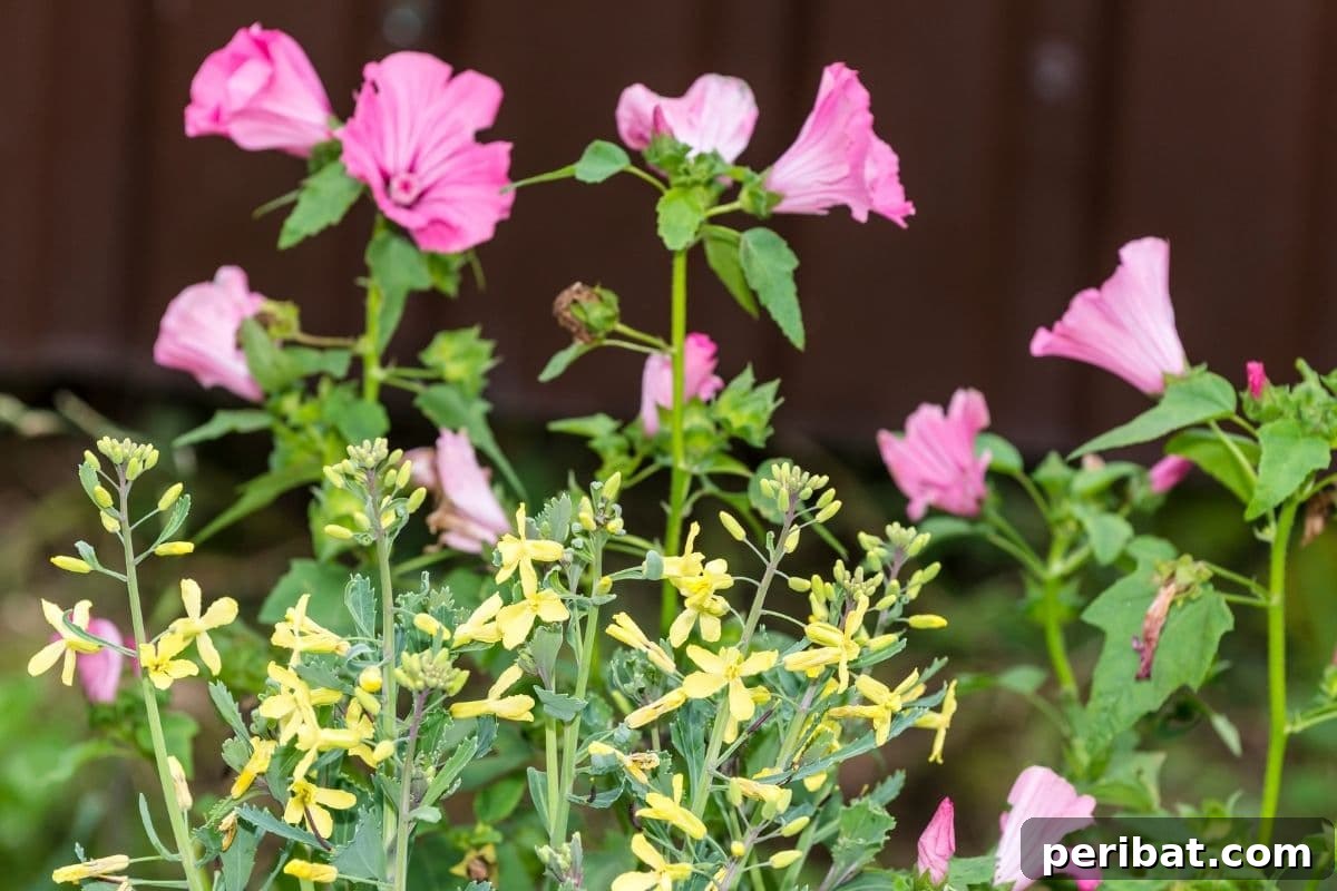 Harvest Beauty Year After Year: 8 Sunny Perennials for Your Dream Cutting Garden 6 Delicate bellflowers in shades of blue and purple, gracefully blooming in full sunlight within a garden setting.