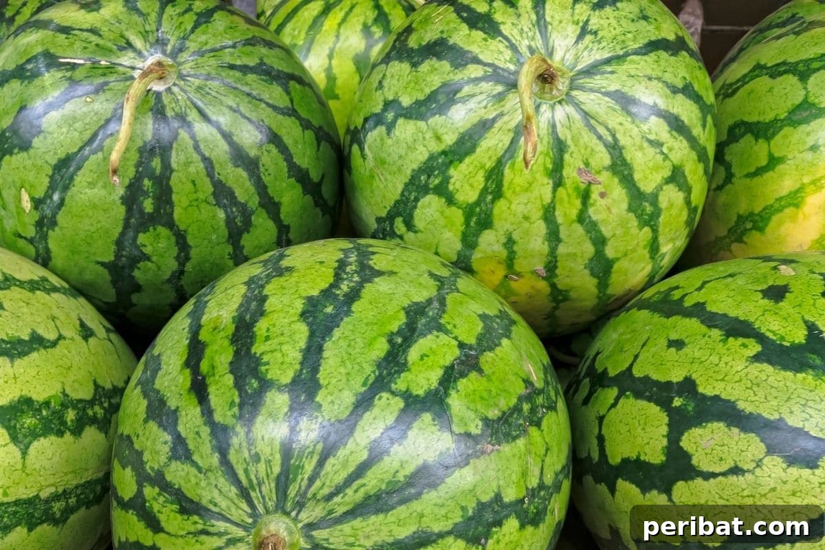 shiny watermelon