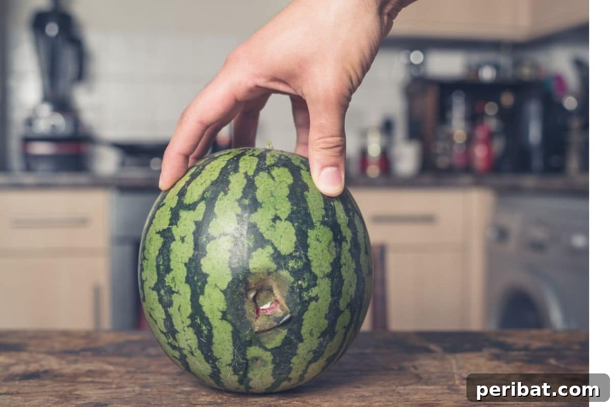 ruined watermelon 