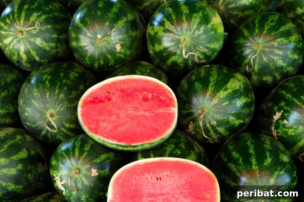 oval watermelon for sale in the market 