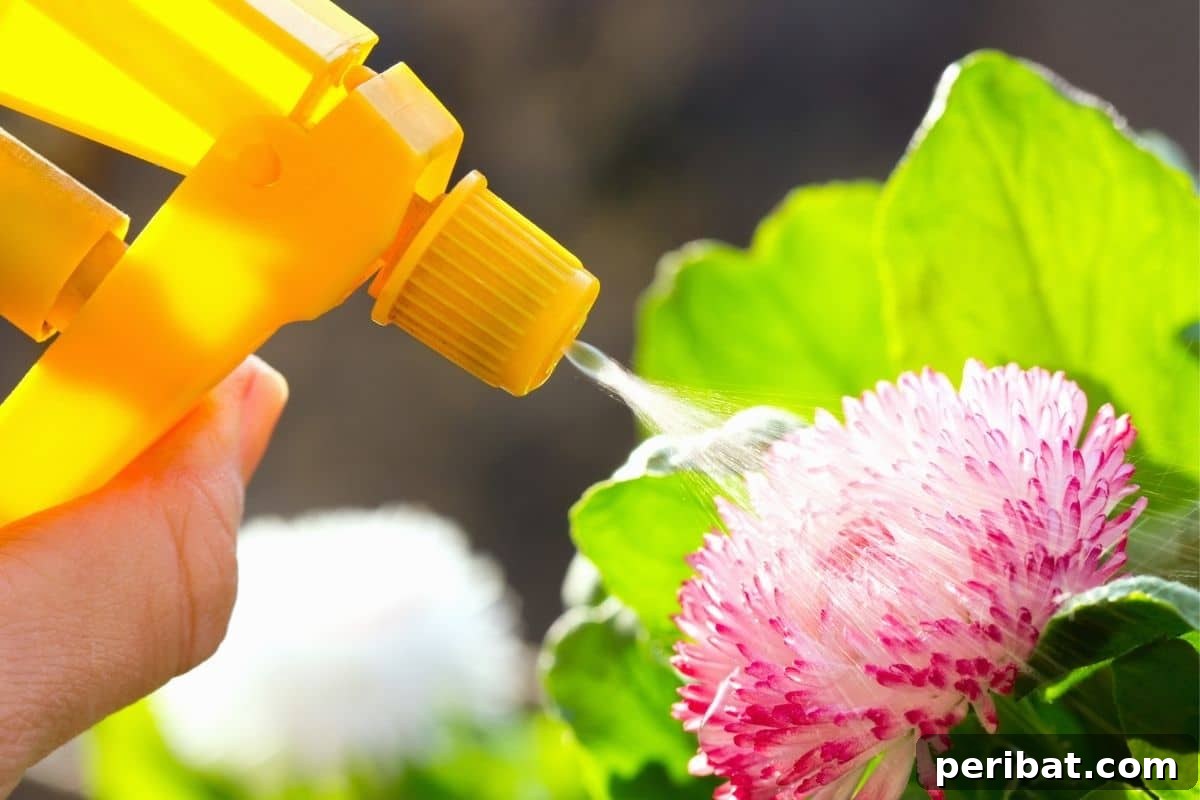 Bahçenizde Süt Mucizesi: Bilmediğiniz 10 Gizemli Kullanım Alanı 3 spraying the flower with yellow spraying bottle