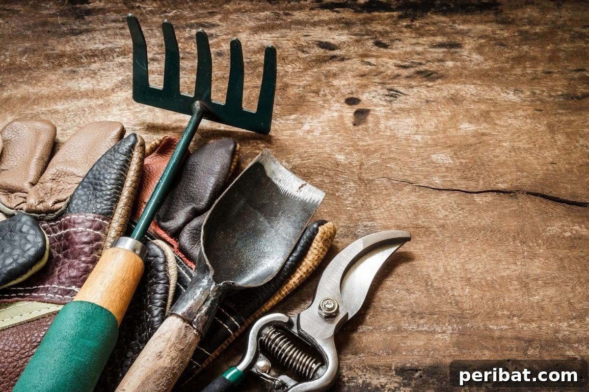 Bahçenizde Süt Mucizesi: Bilmediğiniz 10 Gizemli Kullanım Alanı 4 gardening tools in a wooden table