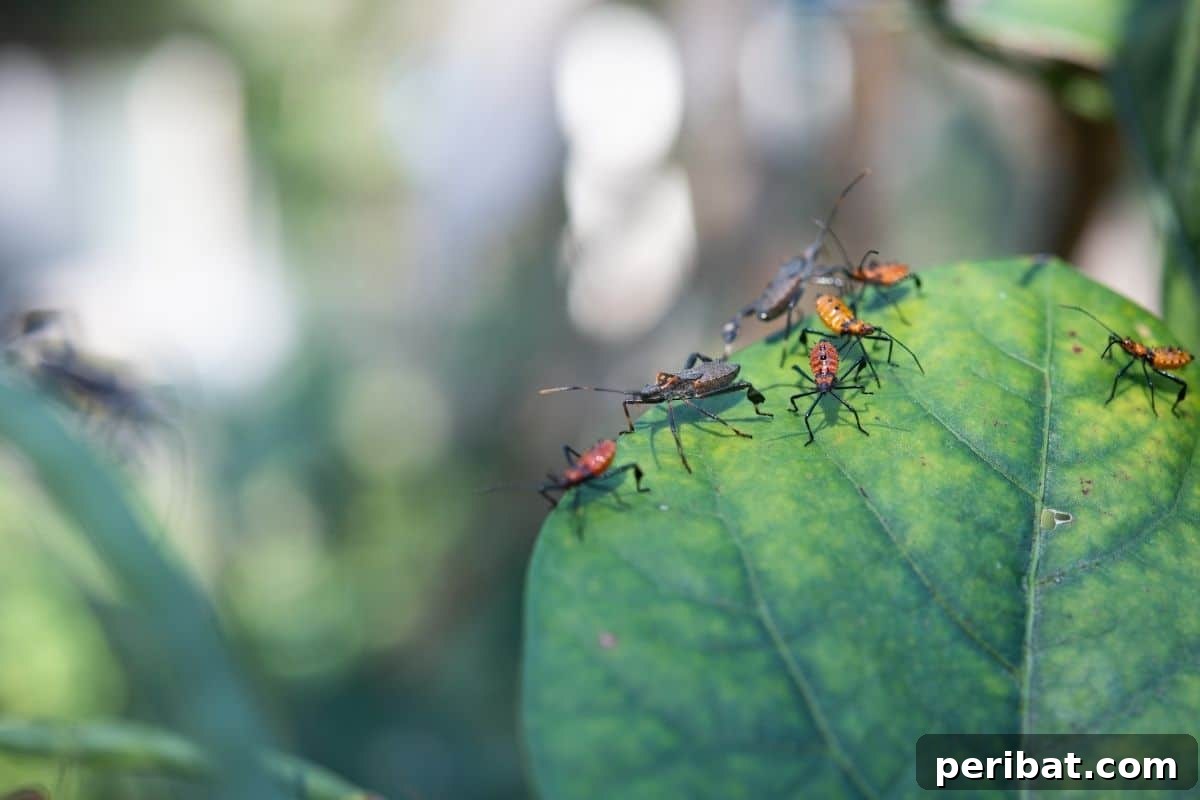 Bahçenizde Süt Mucizesi: Bilmediğiniz 10 Gizemli Kullanım Alanı 5 pests in a leaf