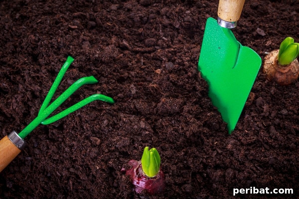 Bahçenizde Süt Mucizesi: Bilmediğiniz 10 Gizemli Kullanım Alanı 8 soil with gardening tools
