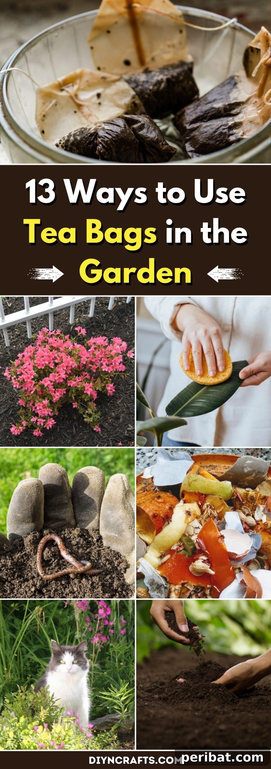 13 Clever Tea Bag Uses for a Healthier Garden 2 A collage showing various ways to use tea bags in the garden, including composting, fertilizing, and starting seedlings.