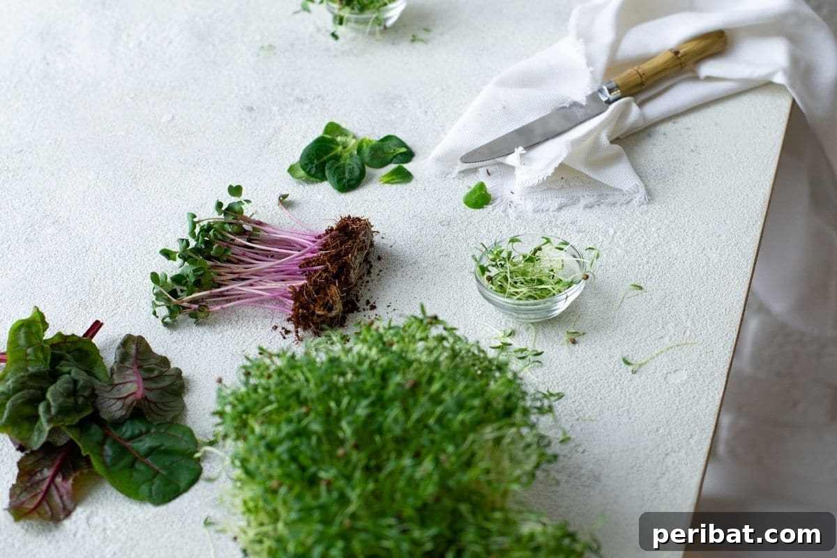 13 Clever Tea Bag Uses for a Healthier Garden 12 Small seedlings growing in various containers on a table, including repurposed tea bags.