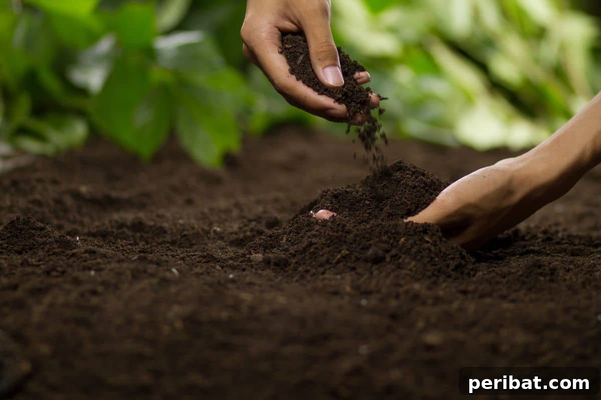 13 Clever Tea Bag Uses for a Healthier Garden 3 Hands holding nutrient-rich garden soil with an earthworm visible.