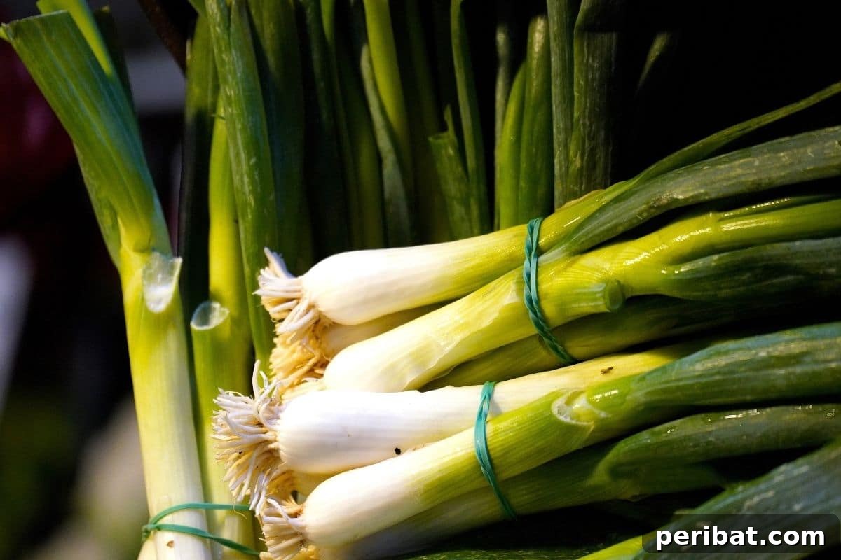 tied harvested scallions