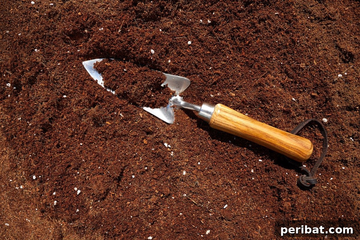 perlite in a soil for aeration 