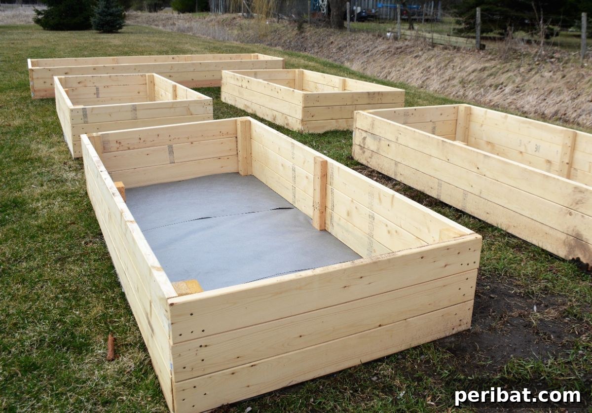 constructed empty raised bed 