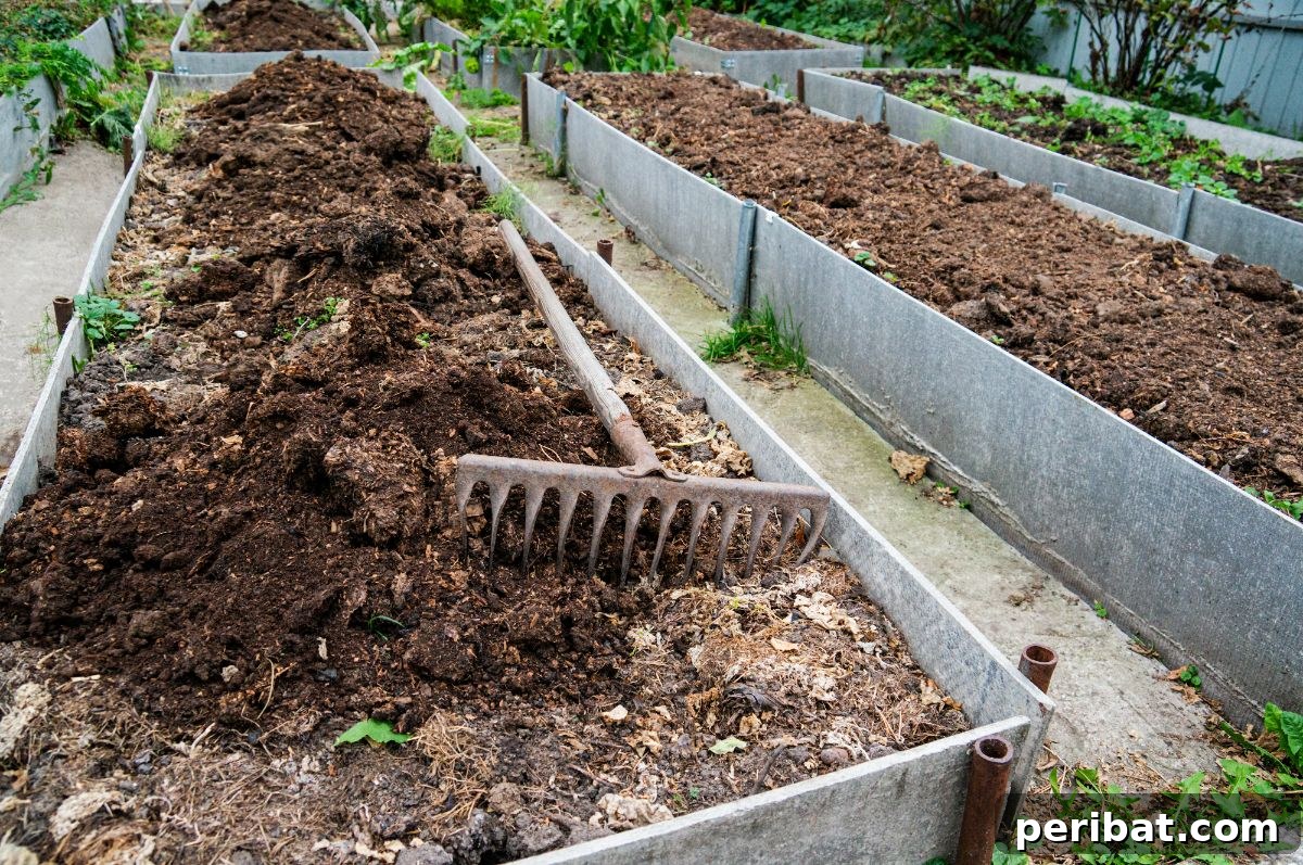 garden raised bed filled with manure 