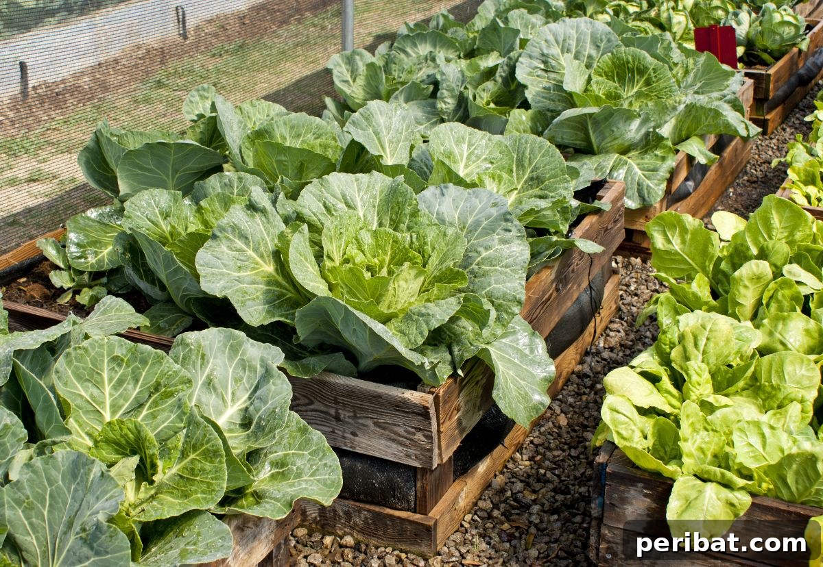 Unlock Your Pallet Garden's Potential: 11 Essential Hacks 12 horizontal pallet garden with vegetable plants