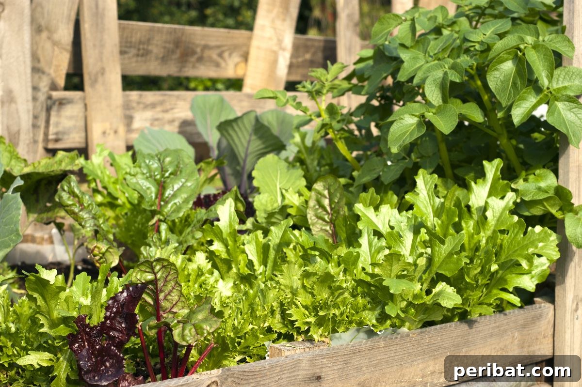 Unlock Your Pallet Garden's Potential: 11 Essential Hacks 13 vegetable pallet garden