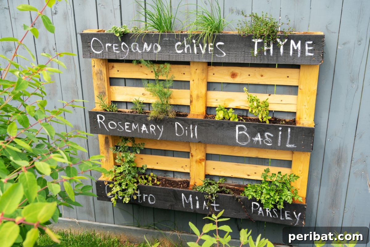 Unlock Your Pallet Garden's Potential: 11 Essential Hacks 3 herb pallet garden