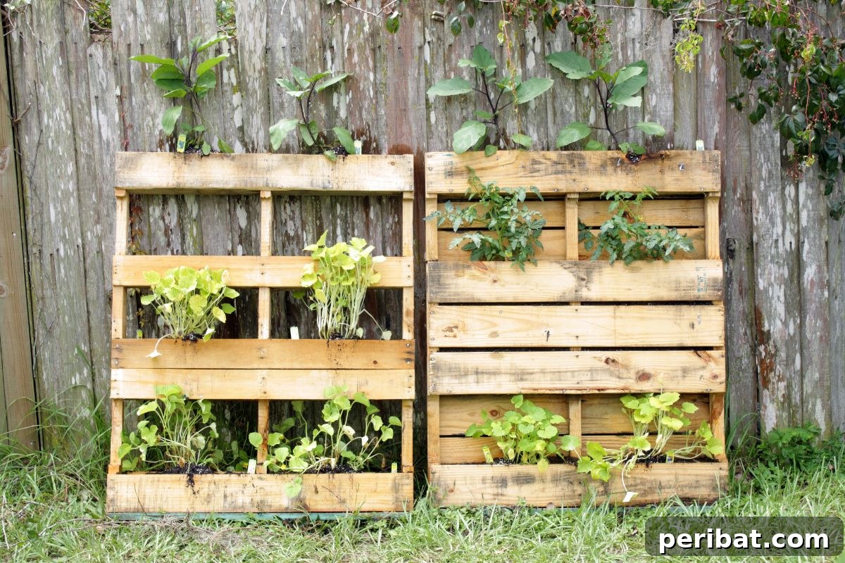 Unlock Your Pallet Garden's Potential: 11 Essential Hacks 4 a pallet garden filled with plants