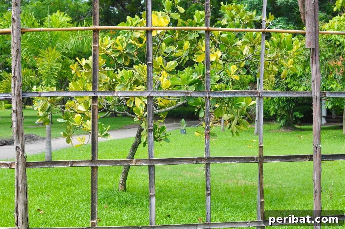 Graceful bamboo trellis supporting lush garden plants