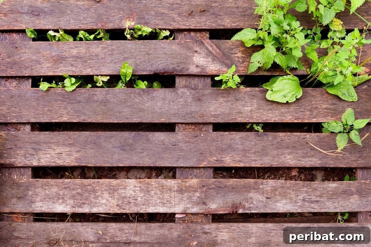 DIY pallet trellis supporting thriving garden plants