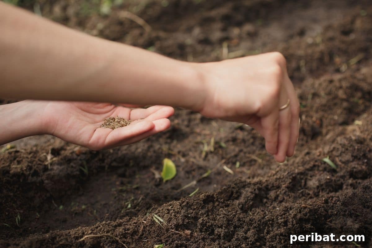 Unlocking Seed Germination: 15 Reasons for Failure and Proven Solutions 14 planting seeds in the garden