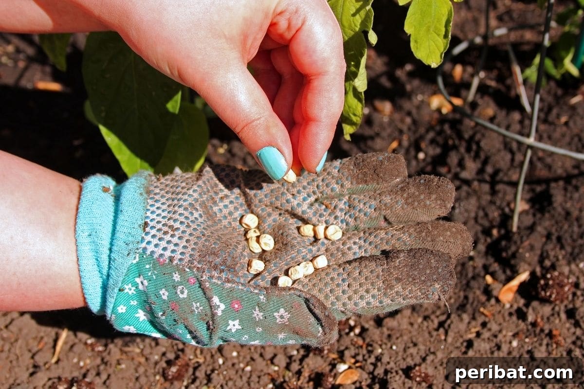 Unlocking Seed Germination: 15 Reasons for Failure and Proven Solutions 15 getting seeds from hands with gloves in the garden