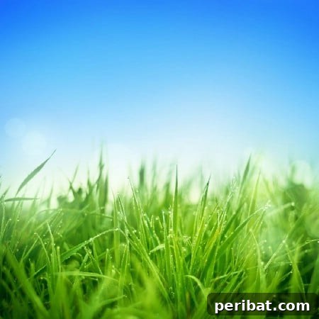 Epsom salt for vibrant green grass and healthy plants