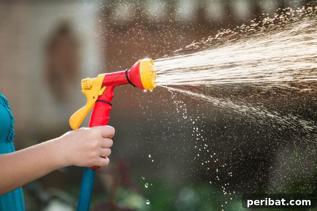 20 Common Vegetable Garden Mistakes to Avoid 2 spraying water with a hose in the garden