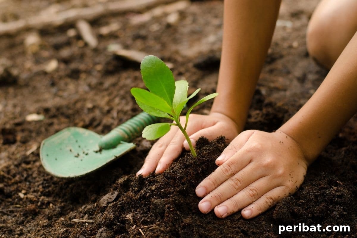 20 Common Vegetable Garden Mistakes to Avoid 10 planting seedlings in the vegetable garden