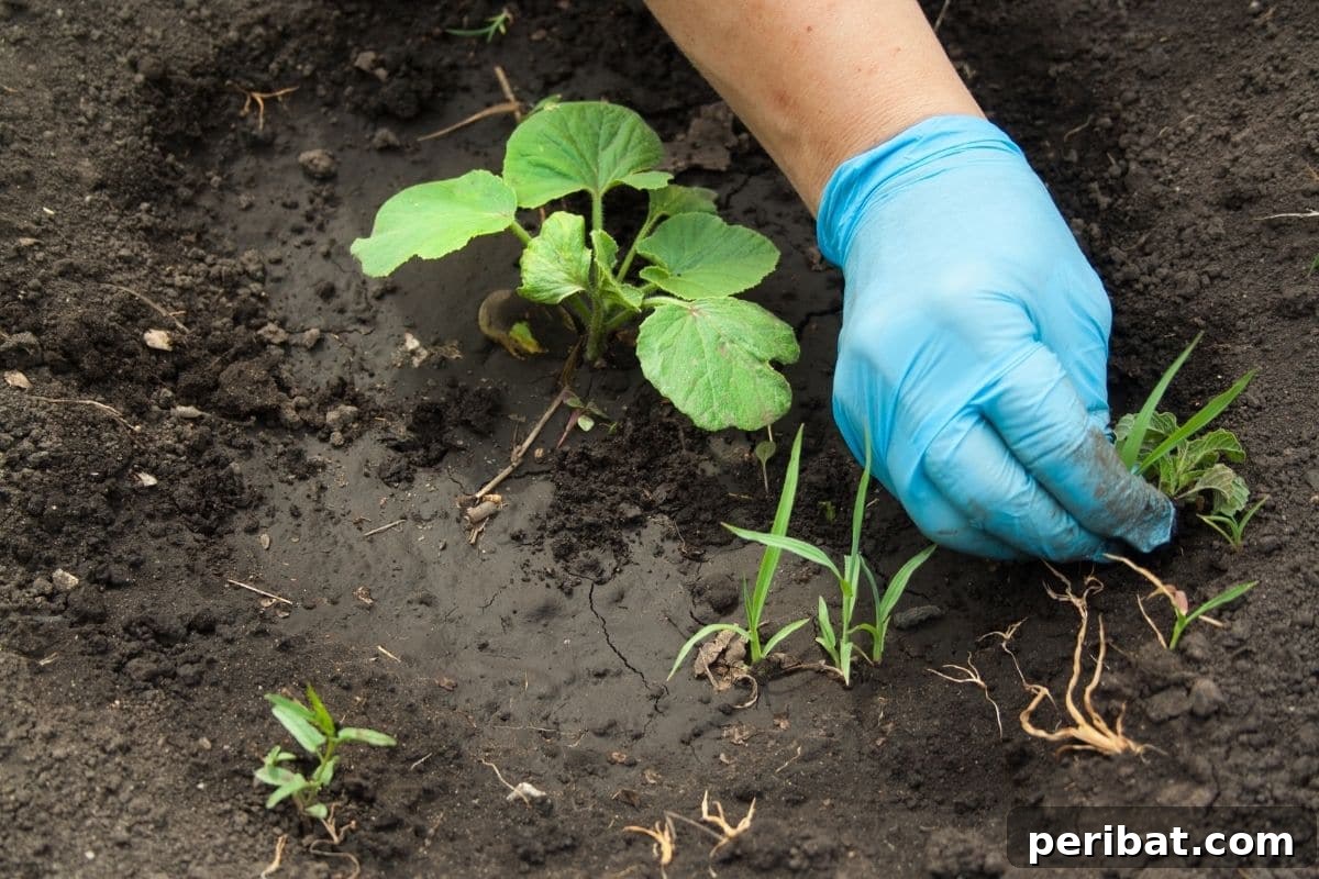 20 Common Vegetable Garden Mistakes to Avoid 11 pulling out weeds beside the plant