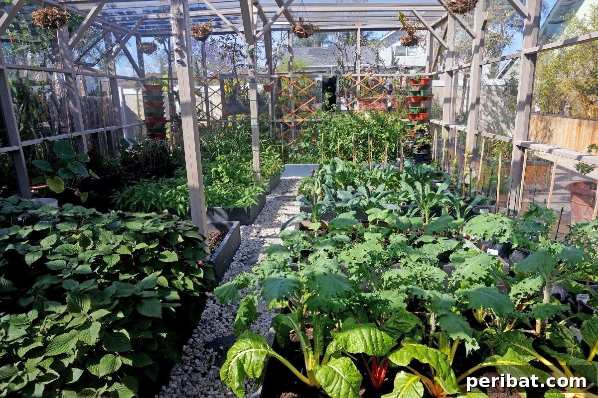 20 Common Vegetable Garden Mistakes to Avoid 14 growing vegetable plants in a greenhouse