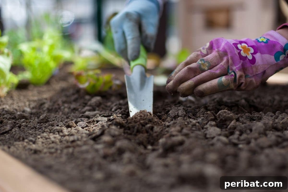 20 Common Vegetable Garden Mistakes to Avoid 16 digging the soil with a small shovel in the vegetable bed