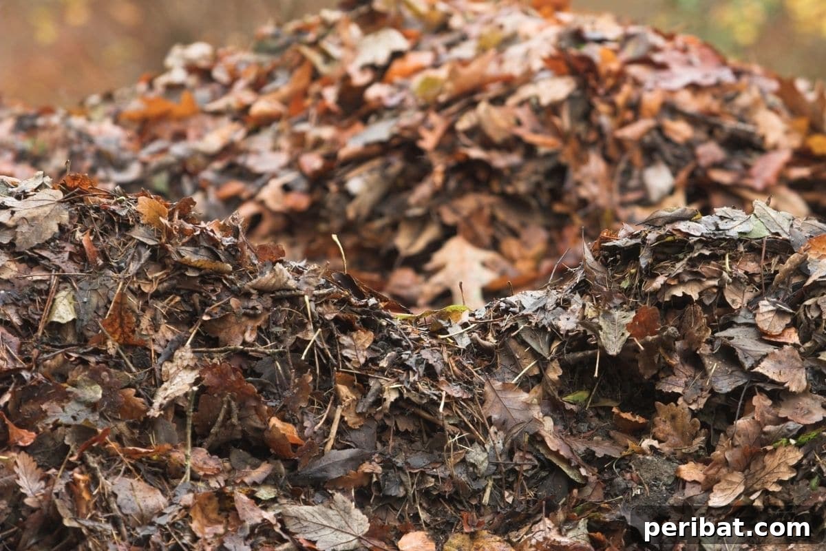 20 Common Vegetable Garden Mistakes to Avoid 19 pile of leaves for mulching soil