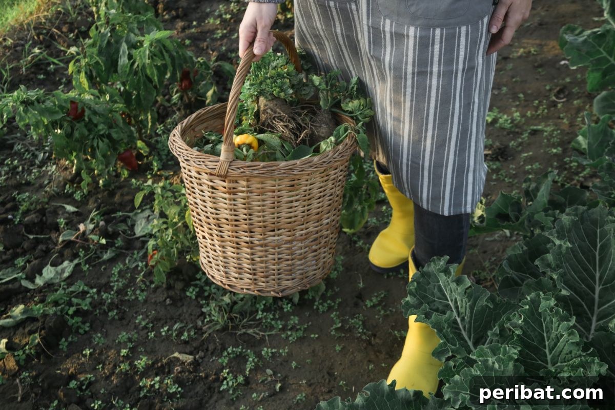 20 Common Vegetable Garden Mistakes to Avoid 20 holding a basket full of harvested vegetables in the garden walkway