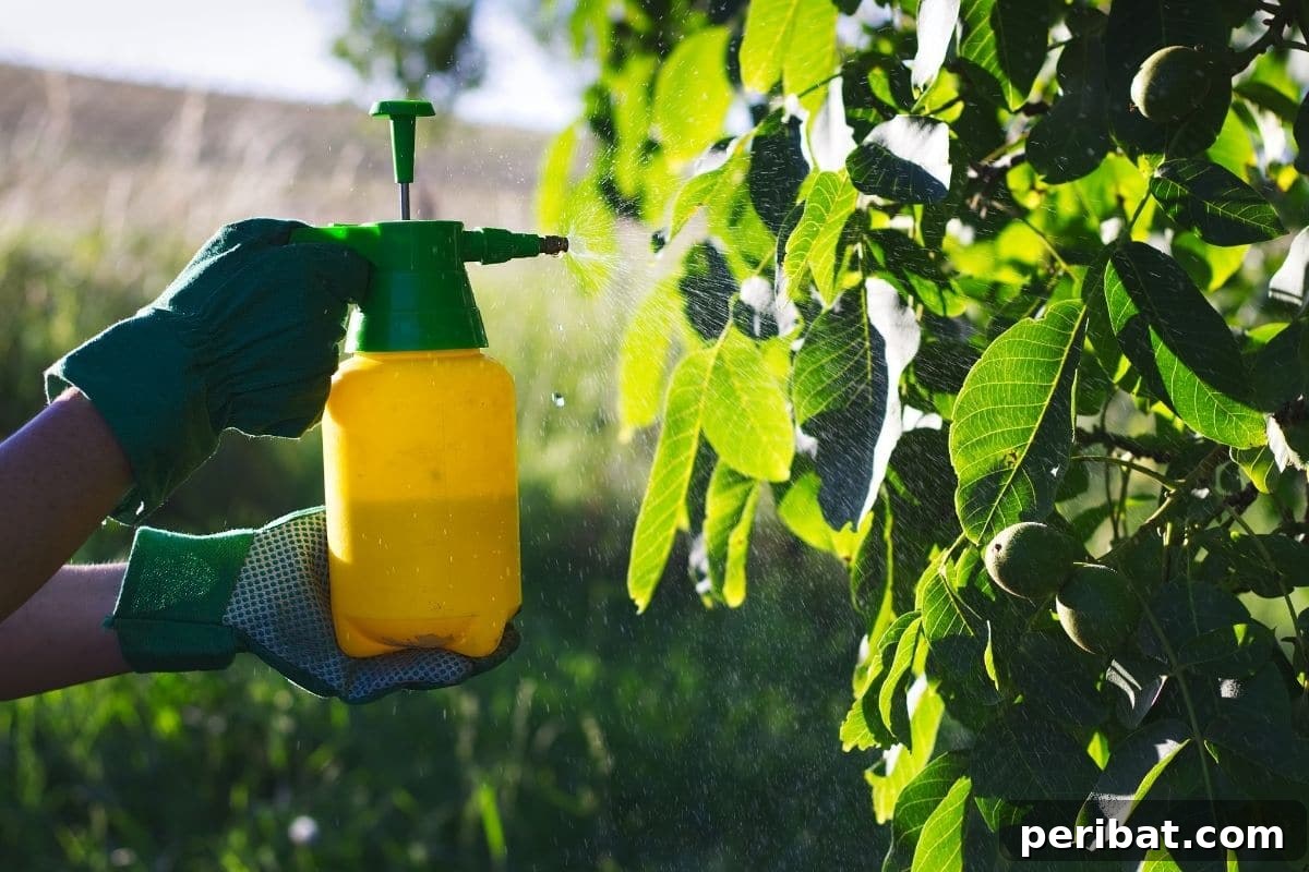 20 Common Vegetable Garden Mistakes to Avoid 5 spraying pesticides to the plants