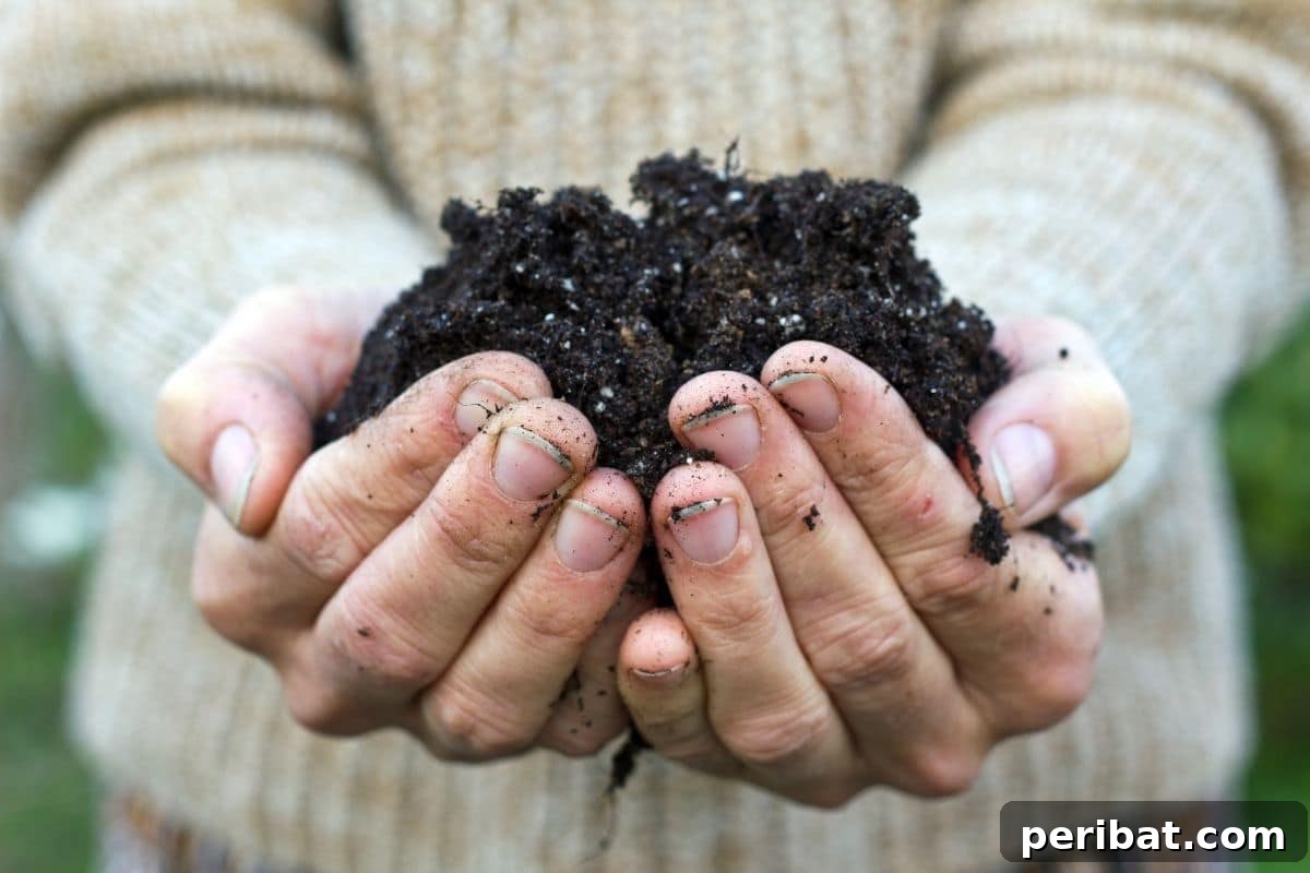 20 Common Vegetable Garden Mistakes to Avoid 6 holding a garden soil with both hands