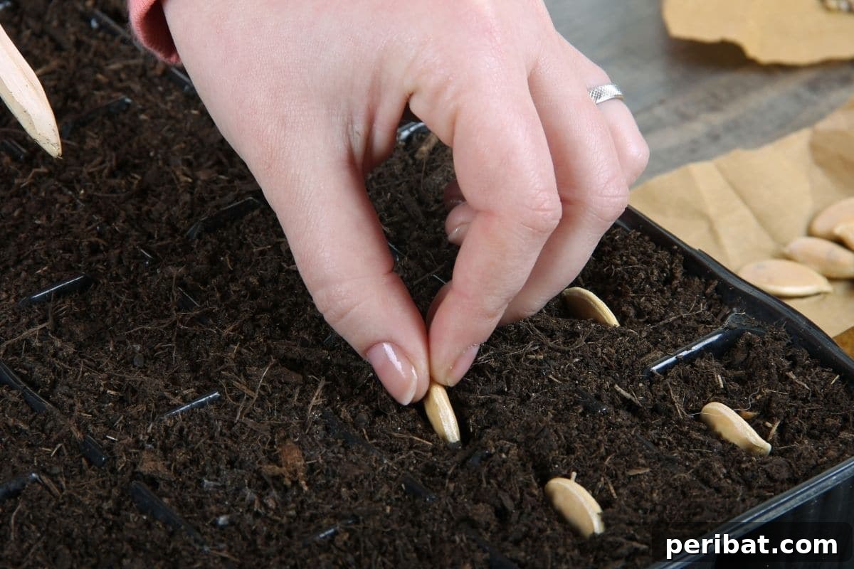20 Common Vegetable Garden Mistakes to Avoid 7 planting seeds indoors in a container