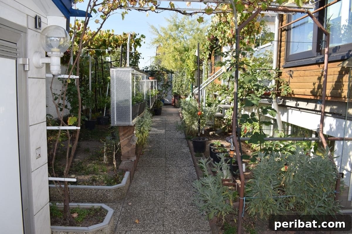 20 Common Vegetable Garden Mistakes to Avoid 9 backyard vegetable garden