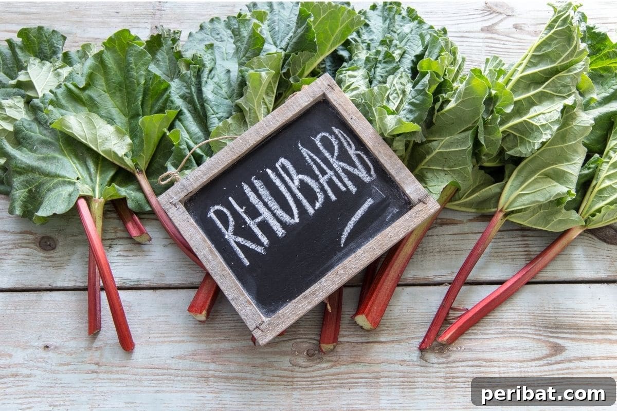 Mastering Rhubarb Simple Steps for Unforgettable Flavor 2 harvested rhuabrb in a table with small blackboard