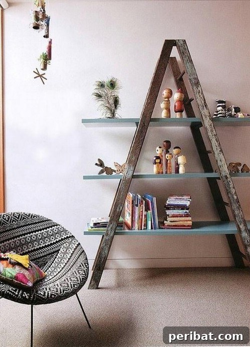 Old Ladder Repurposed as Rustic Shelf