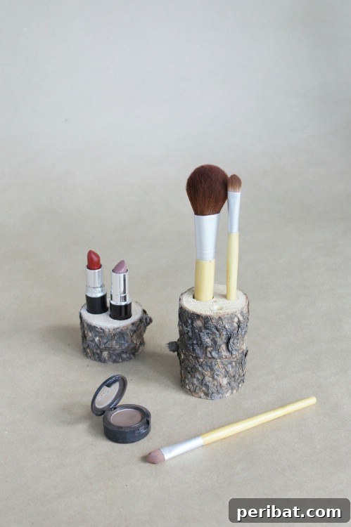 DIY Branch Makeup Storage