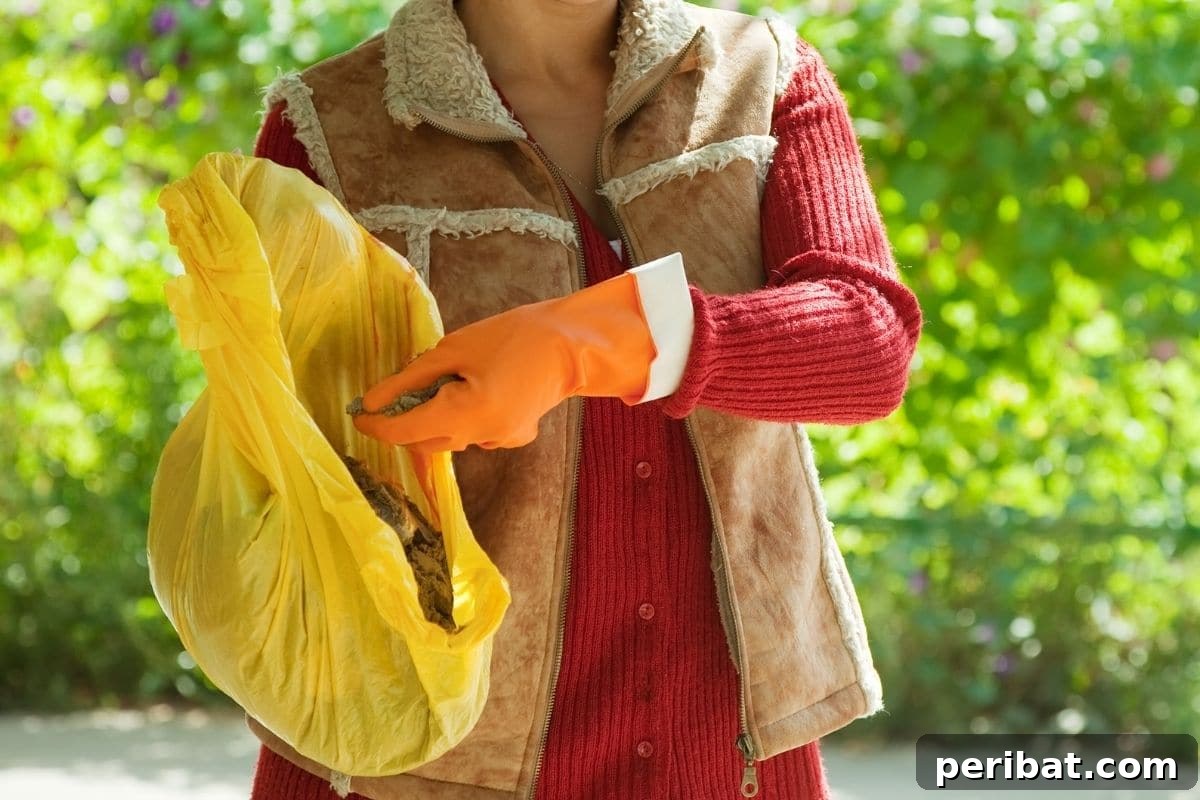 scoping a chicken manure using hands with gloves