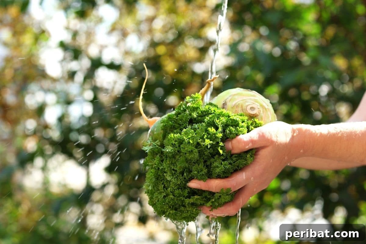 washing harvested vegetables with water in the garden