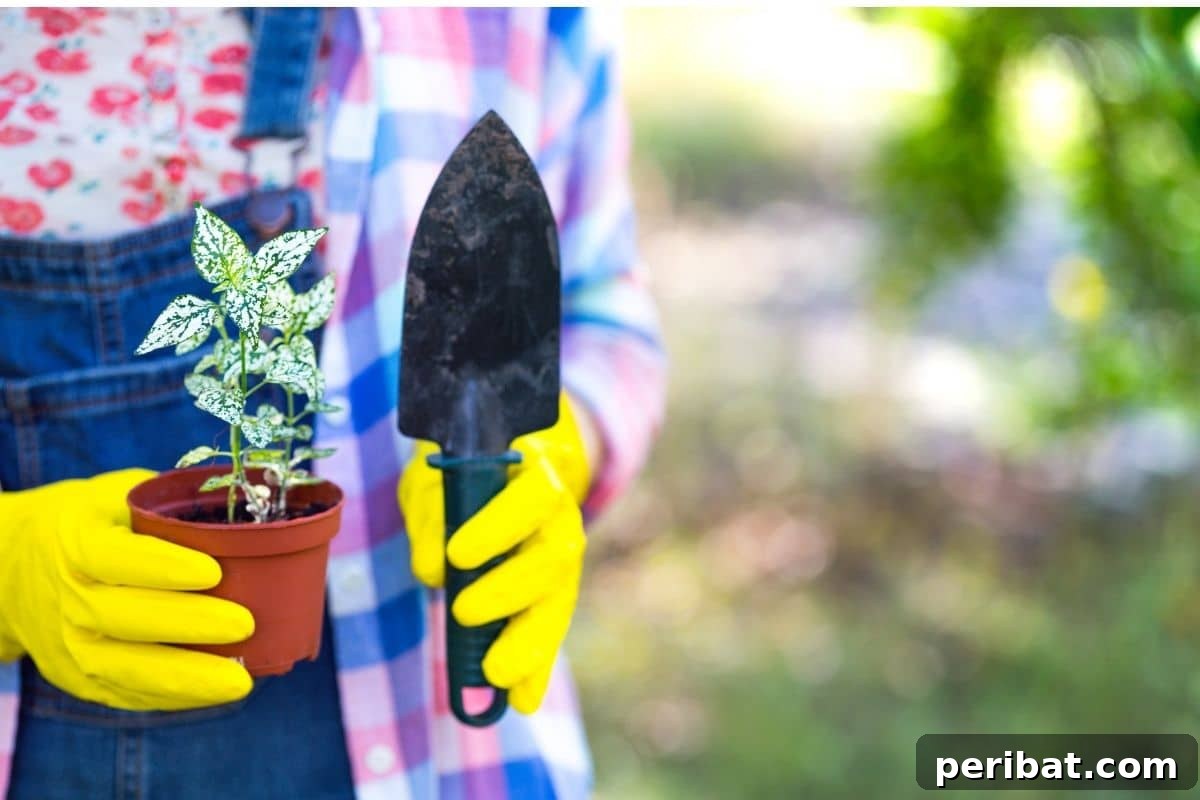 carrying a seedling in a pot and small shovel to transplant in the garden