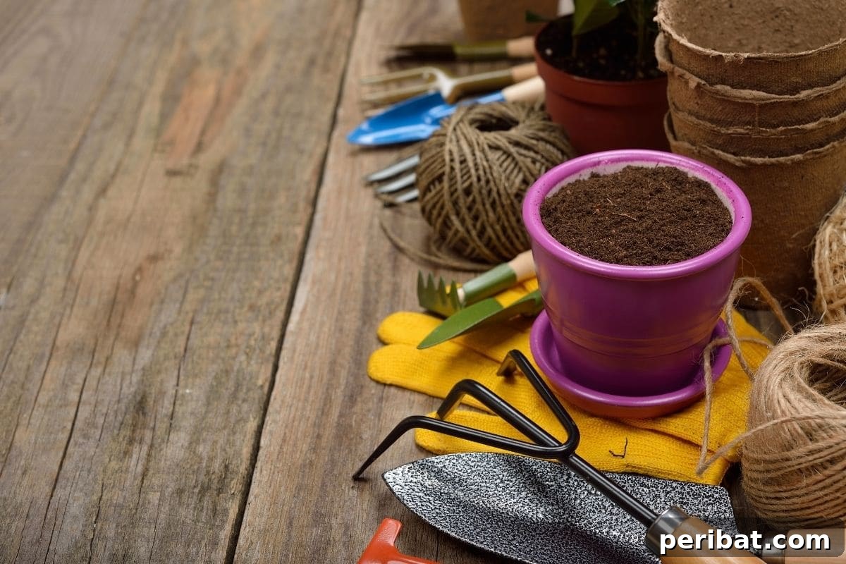 Gardening tools and supplies neatly arranged in a garden setting, suggesting readiness for planting