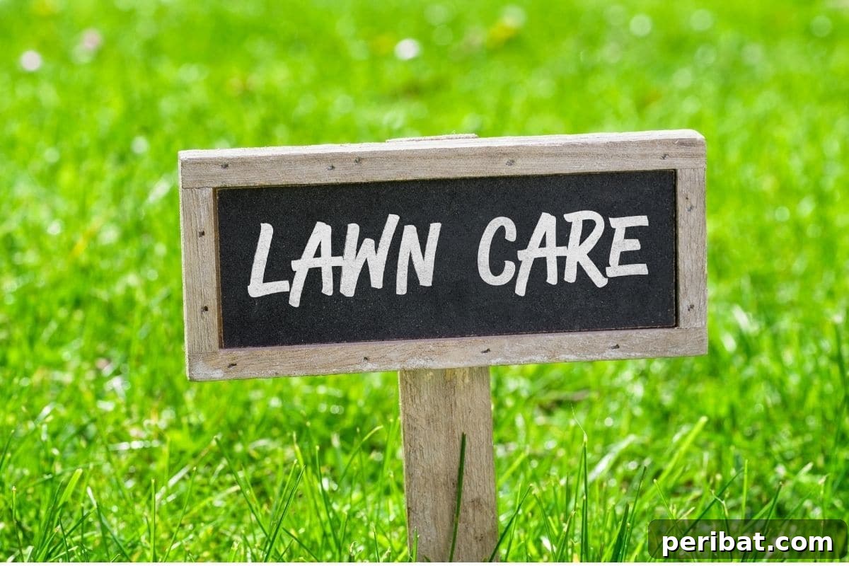 A well-maintained lawn with a sign board indicating 'LAWN CARE' in a suburban setting
