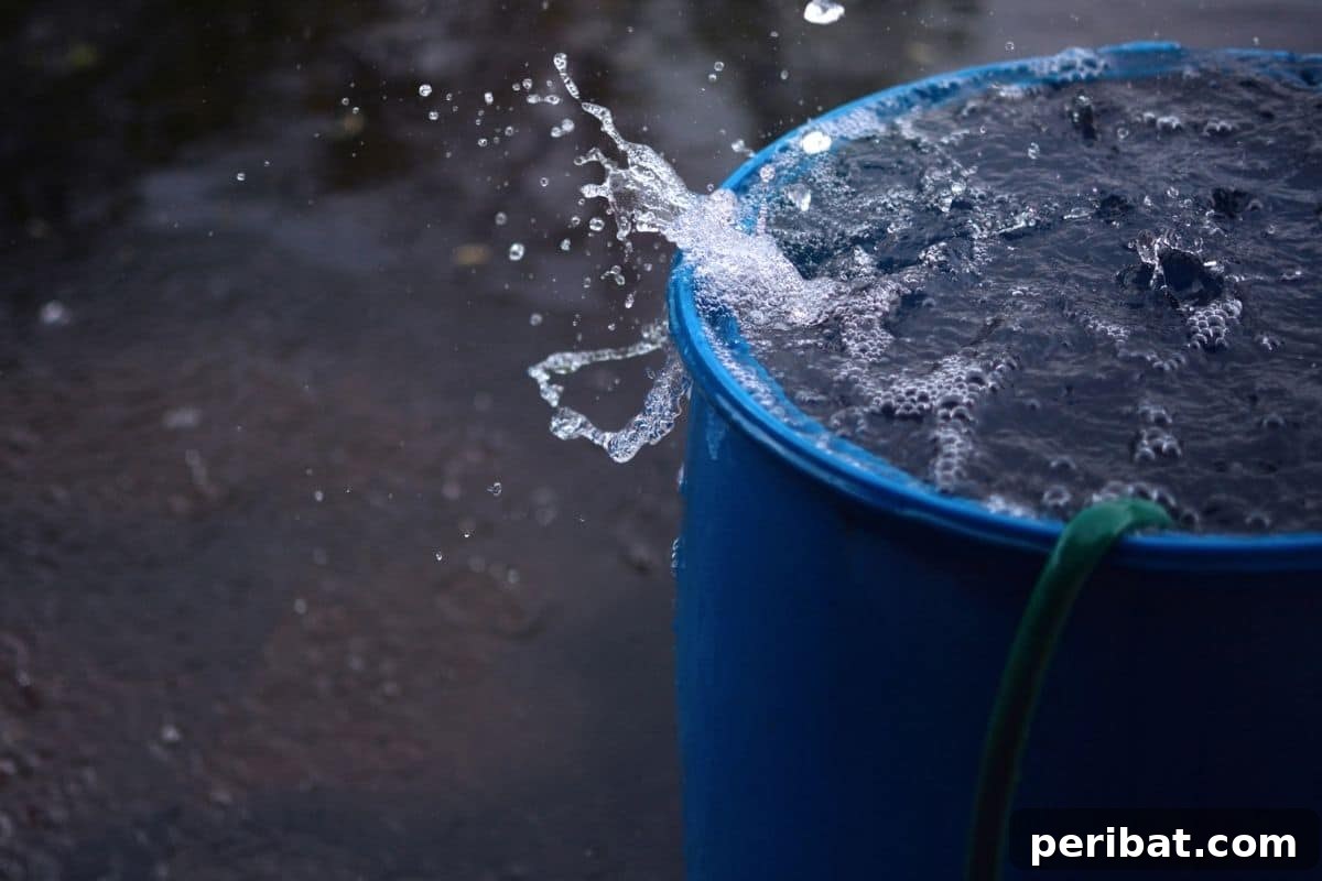 Rainwater being collected in a barrel from a downspout, illustrating sustainable water use